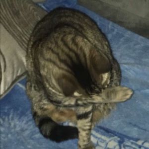 Meet your Posher, Drew